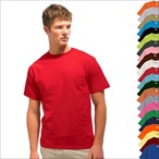 Anvil - Heavyweight Bluelabel T-Shirt 