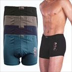 The Bakis - Herren Shorts 'Chow' 